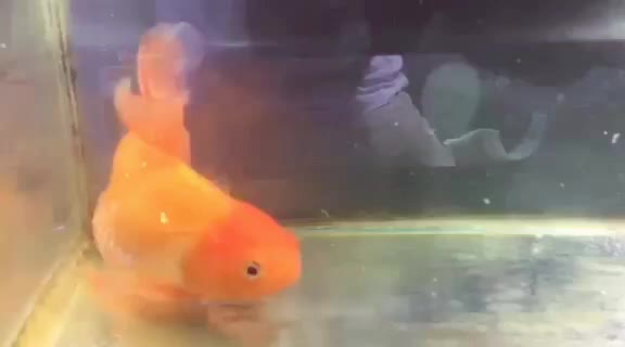 @๐ฅต?๐๐๐๐_๐๐®๐ฅต