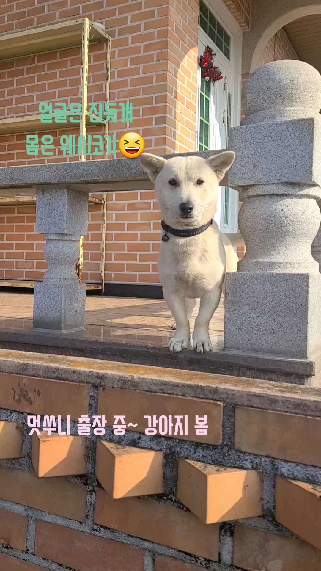 @멋쑤니