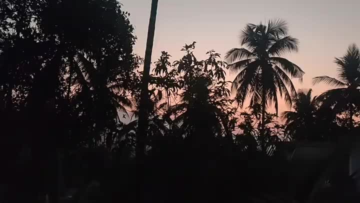 @kuttan