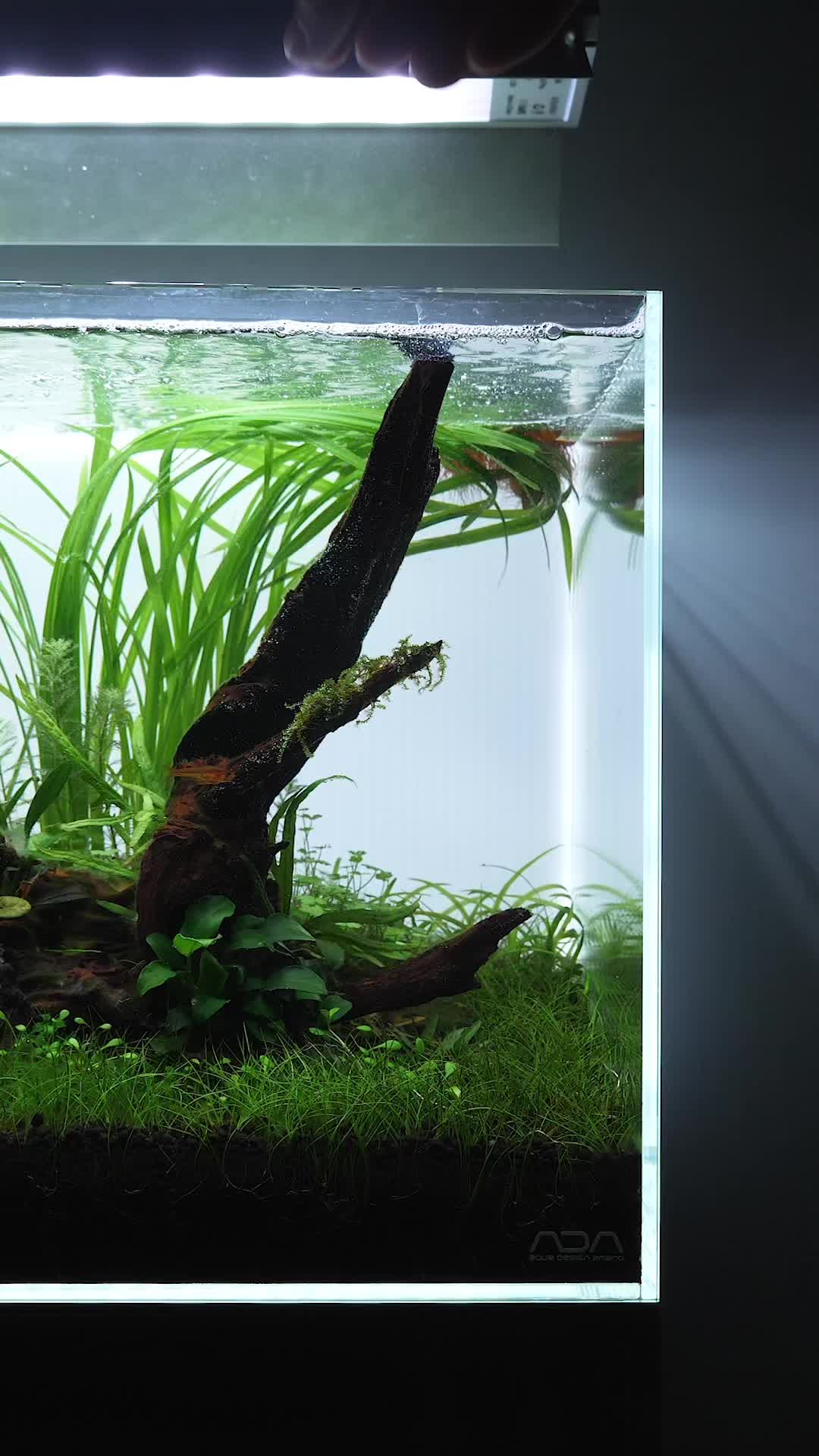 @🌱