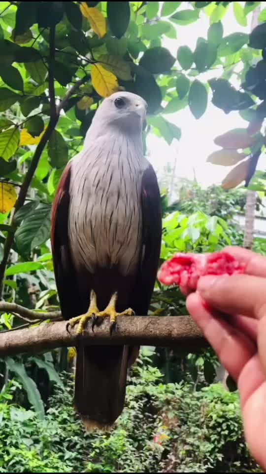 @മൊട്ടബോസ്സ്