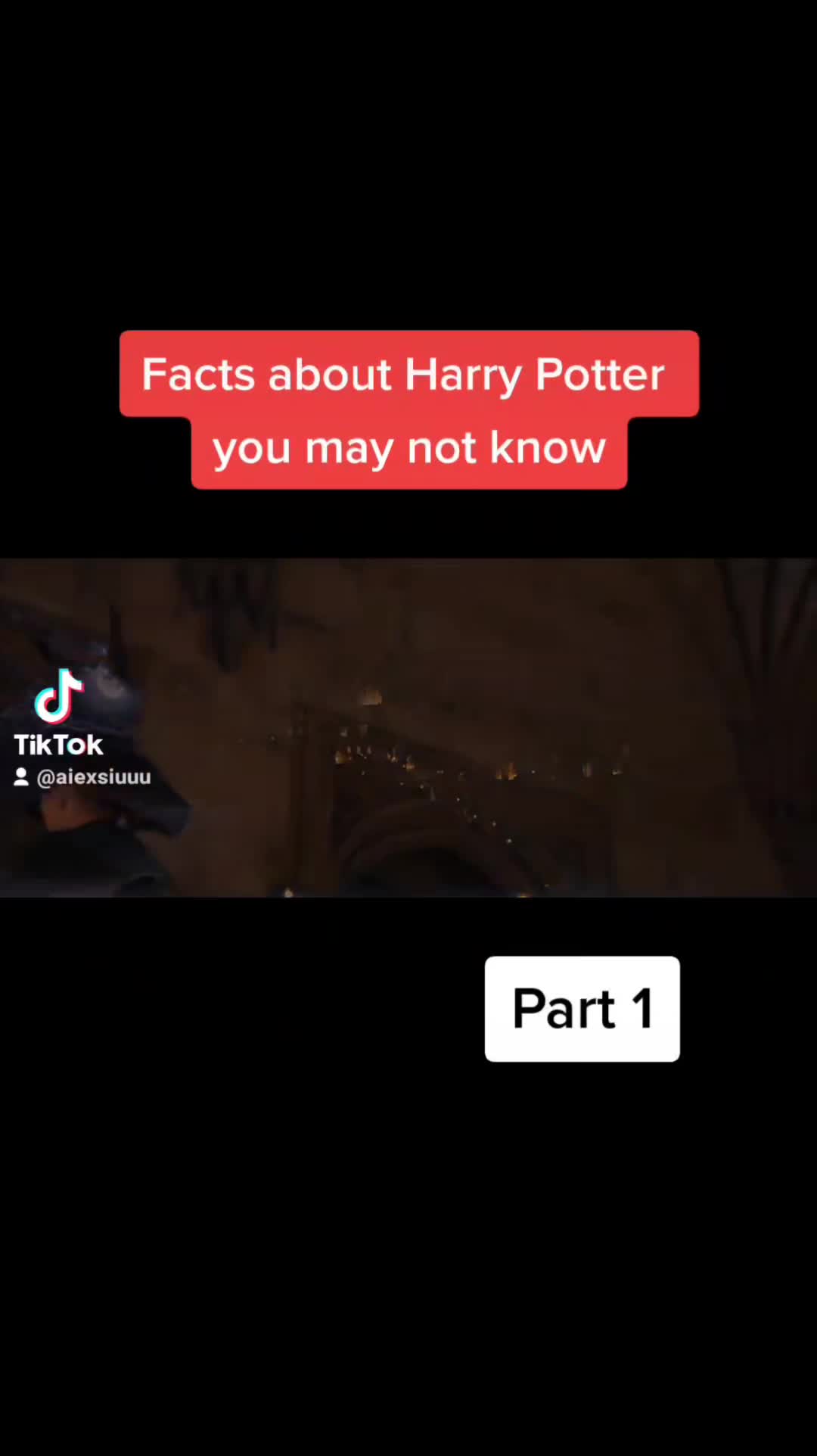 @wizardingtheory