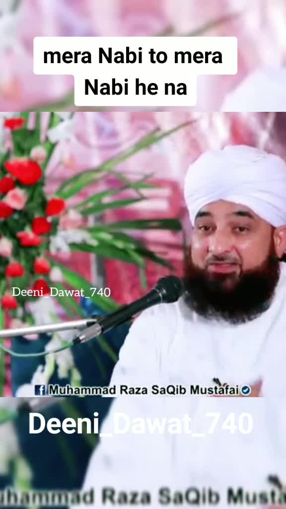 @maulana raza shaqib