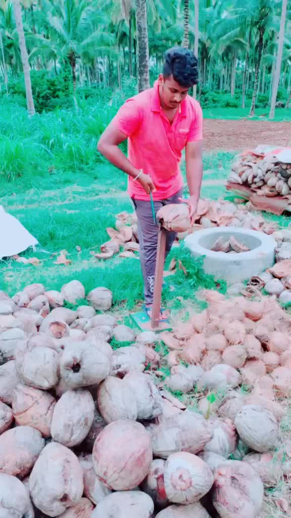 @Sacchu S Gowda