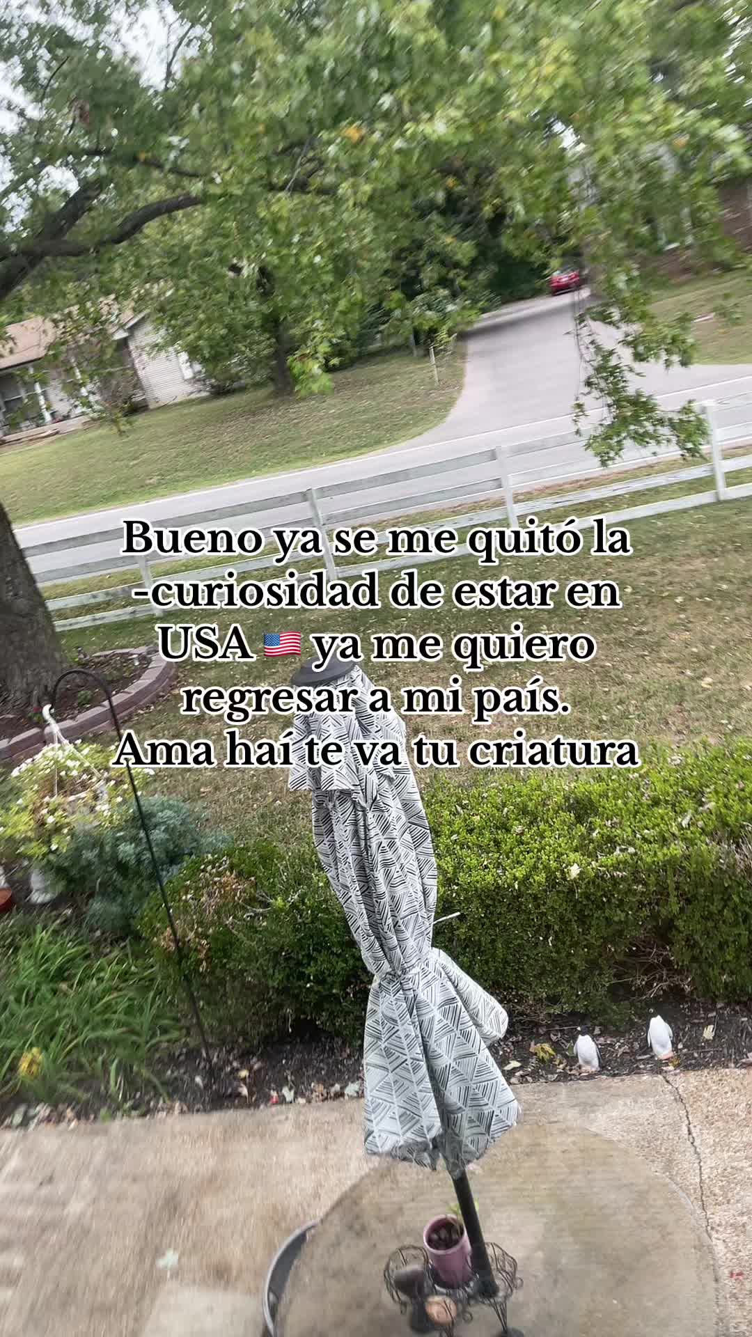@Nancy Franco โจ