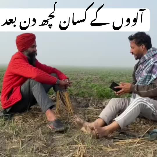 @naveedsidhu139