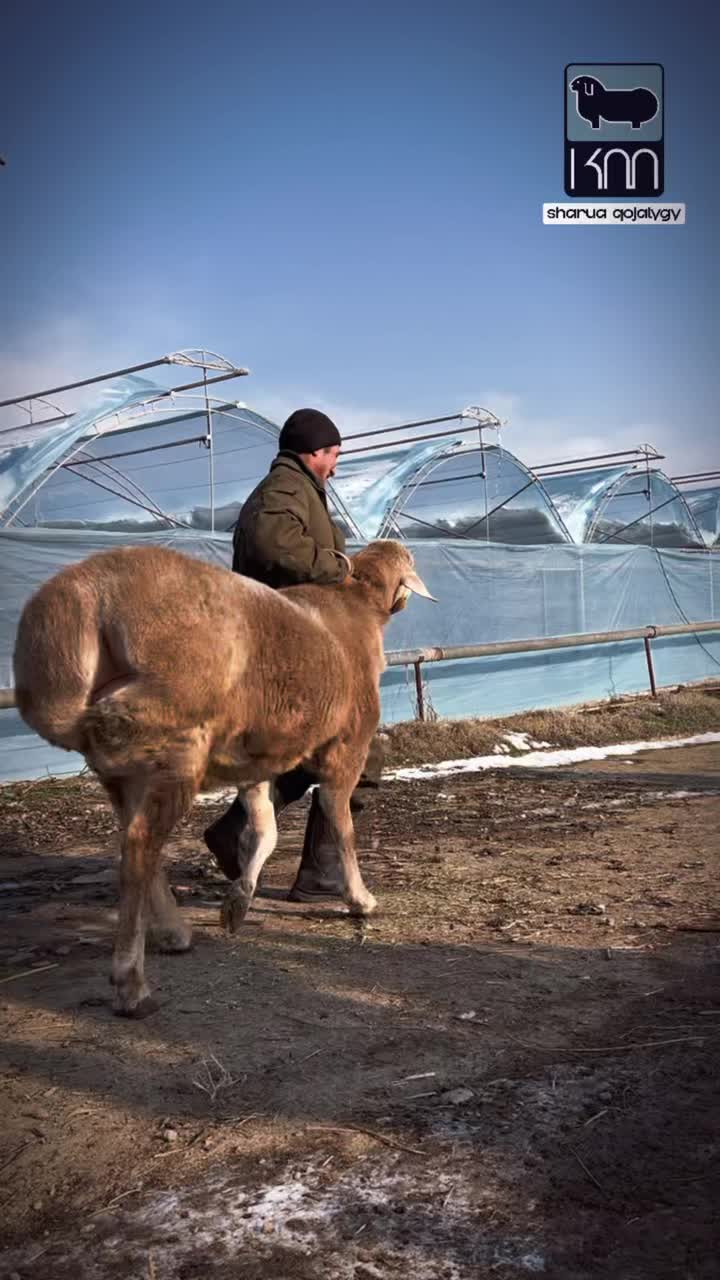 @Kuanysh Myktybaev