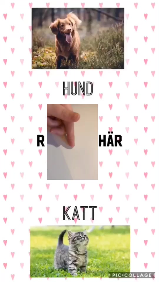 @Vilken