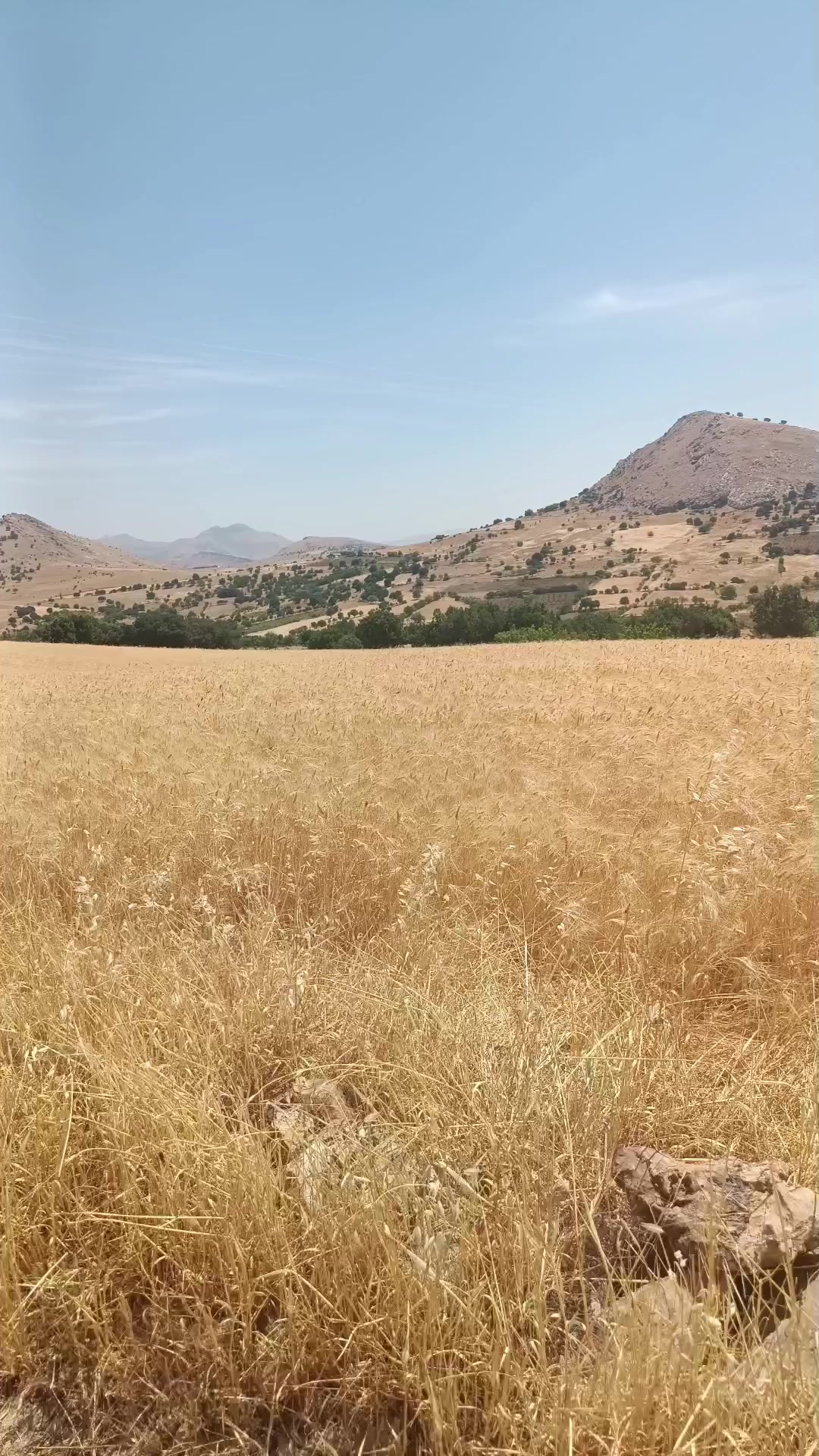 @Zilanmutlu❤️