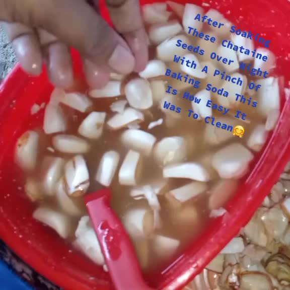 @Meelee And Kids Delicacies
