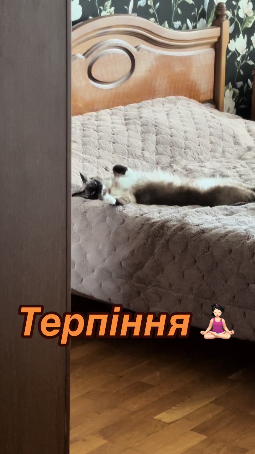 @Persik