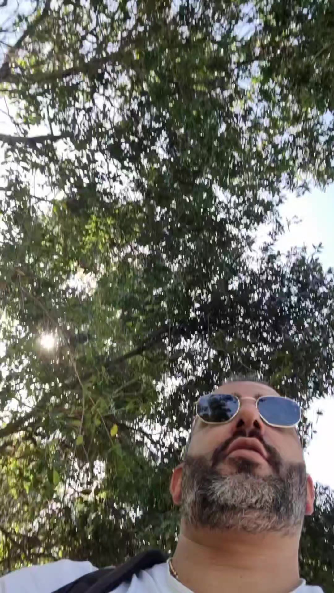 @Charbel Moughabghab