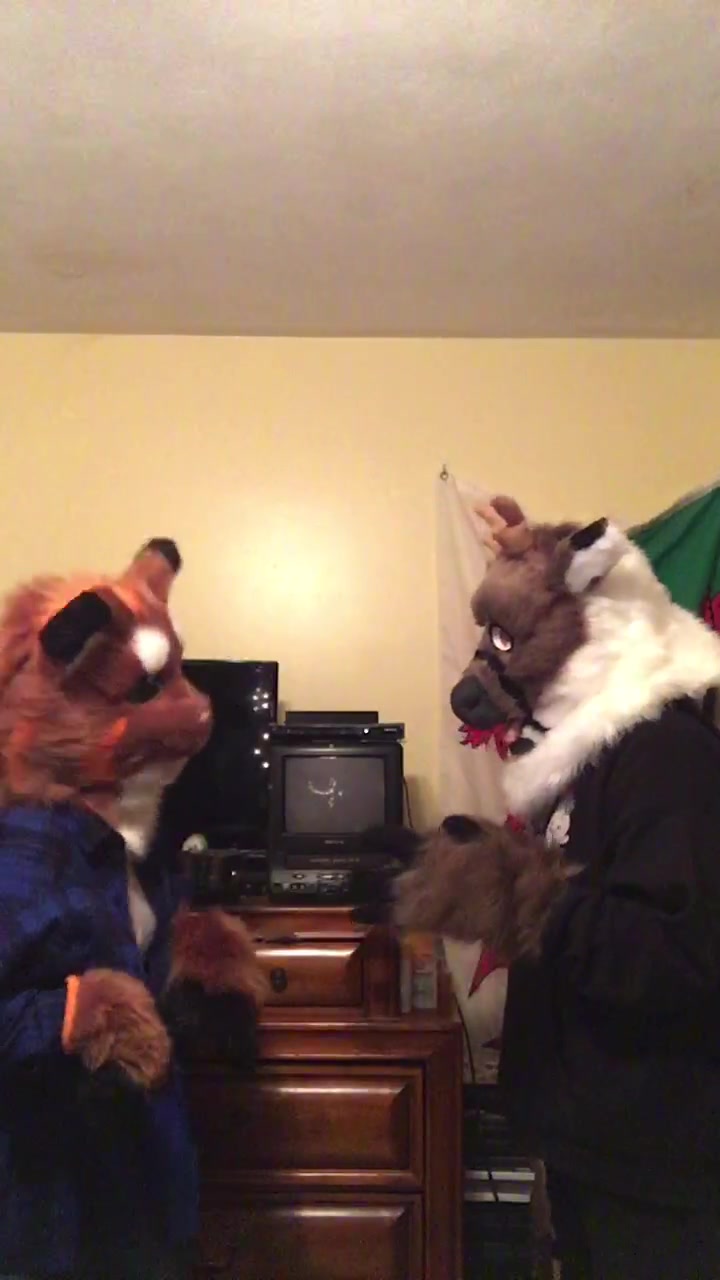 @Twix the Cat