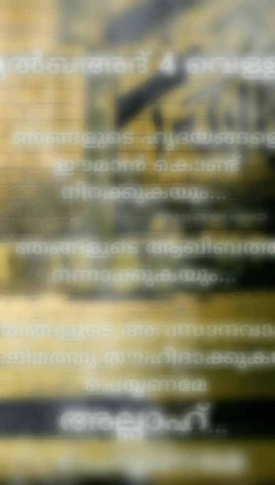 @ѕнιfиα_ѕнιfυ