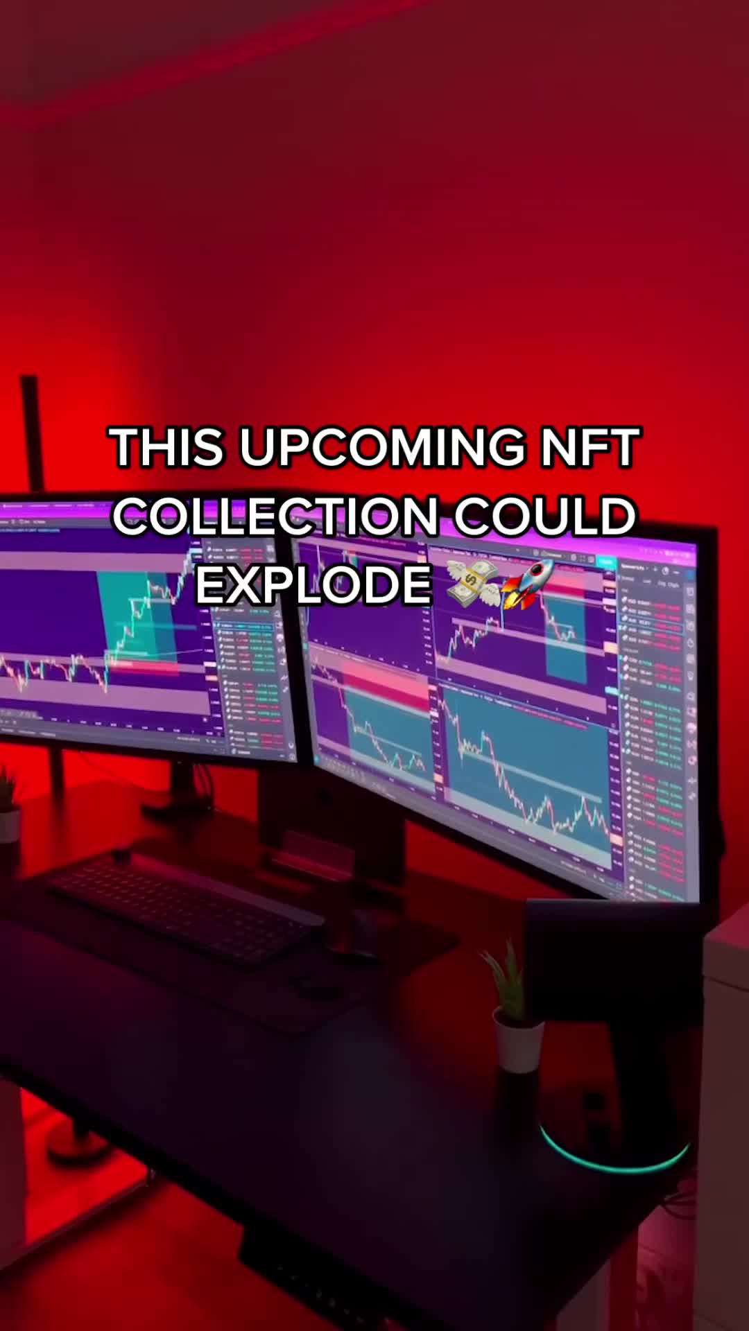 @CRYPTO | NFT 💎