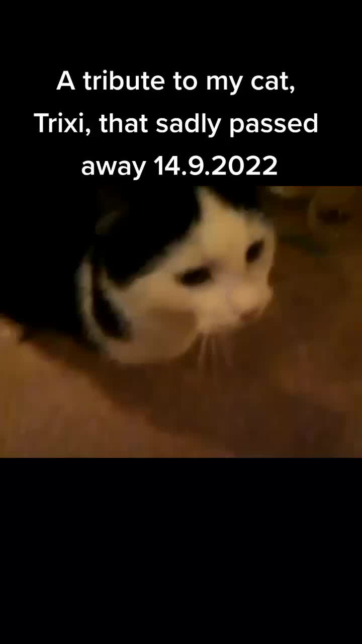 @Elli