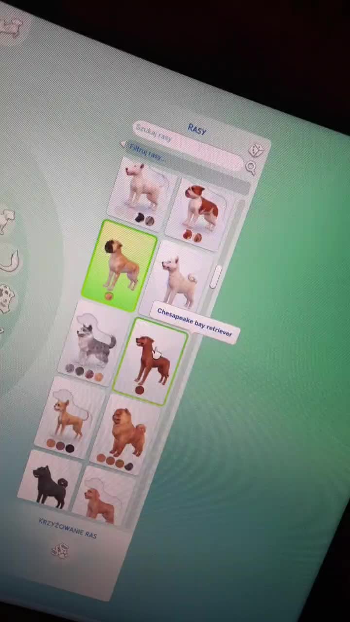 @The Sims 4