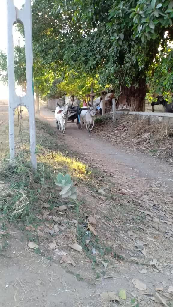 @Hardik8920