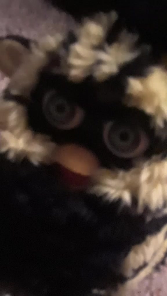 @I need more furbs