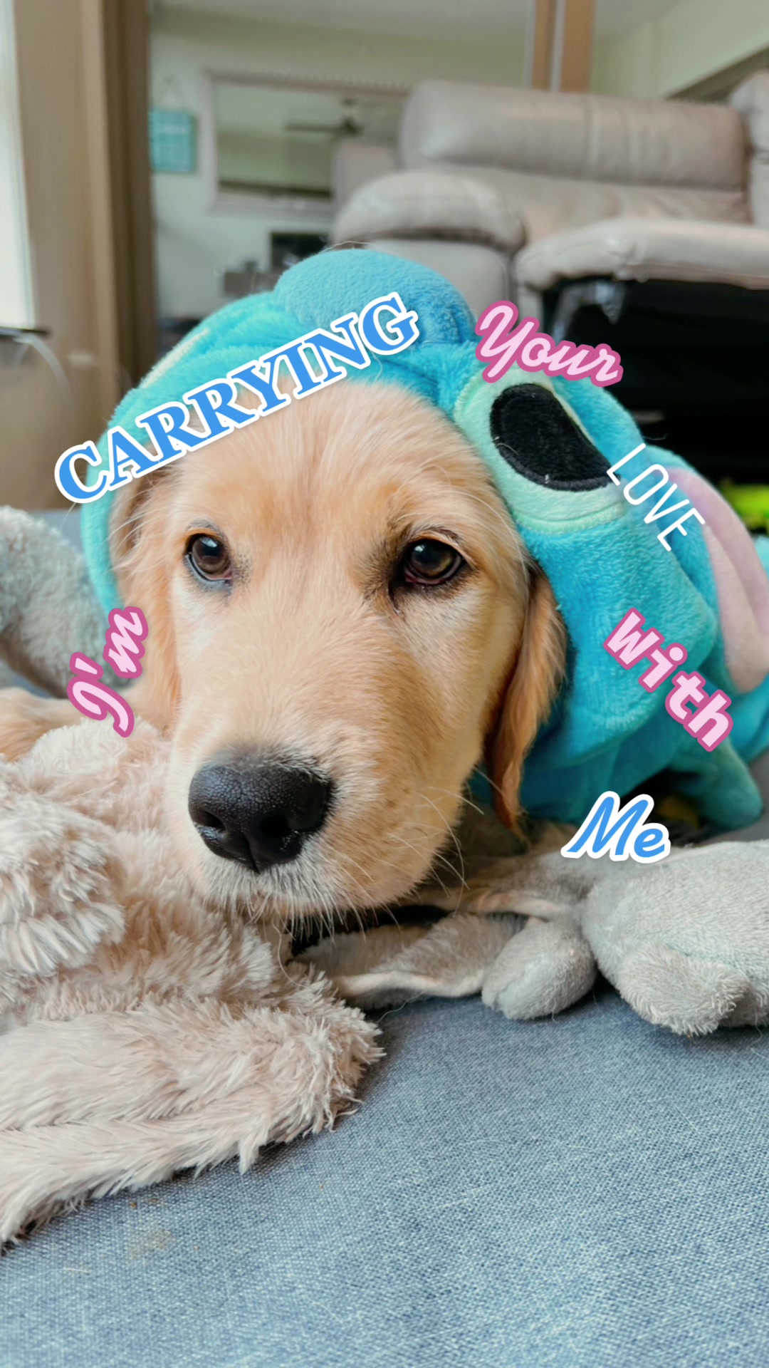 @Scout and Bailey 🐕🐶