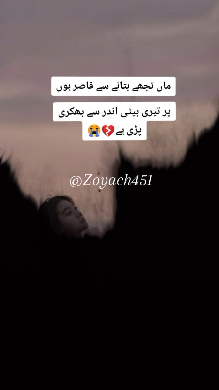 @ZOii..🦋
