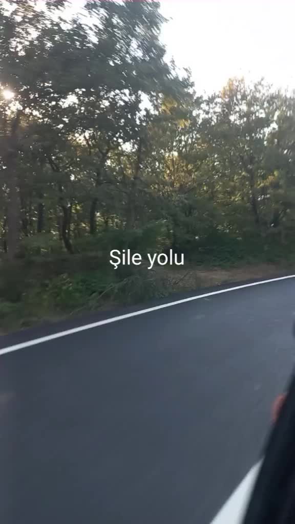 @isyanker5216
