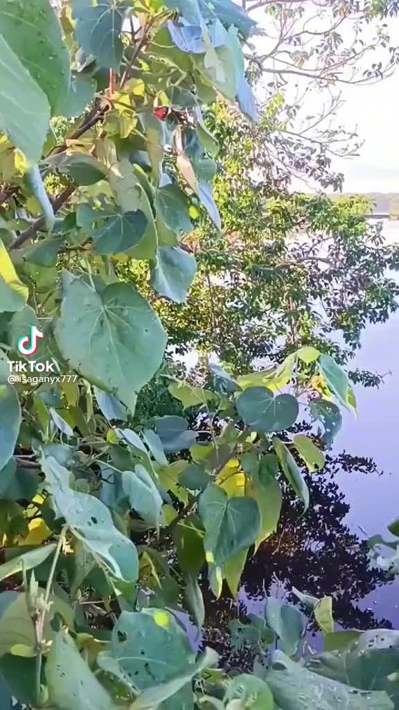 @Airwin Buenaobra