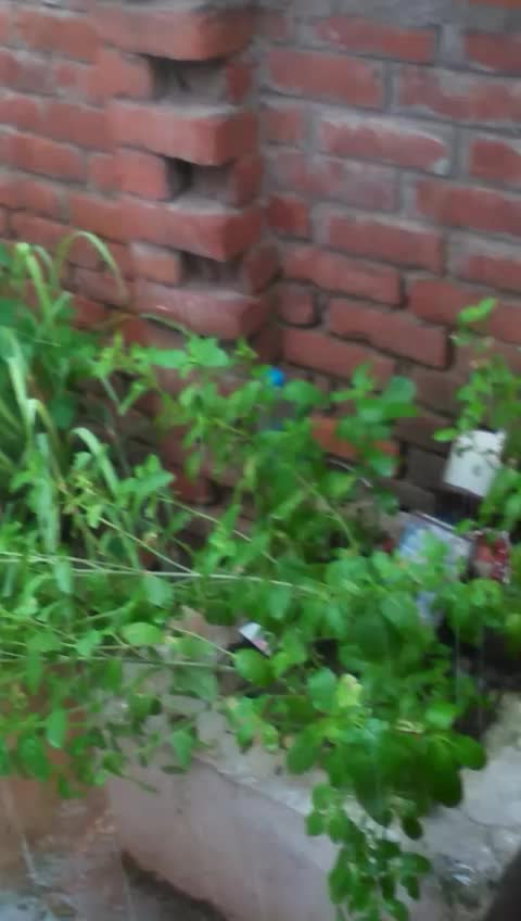 @userDeepika verma