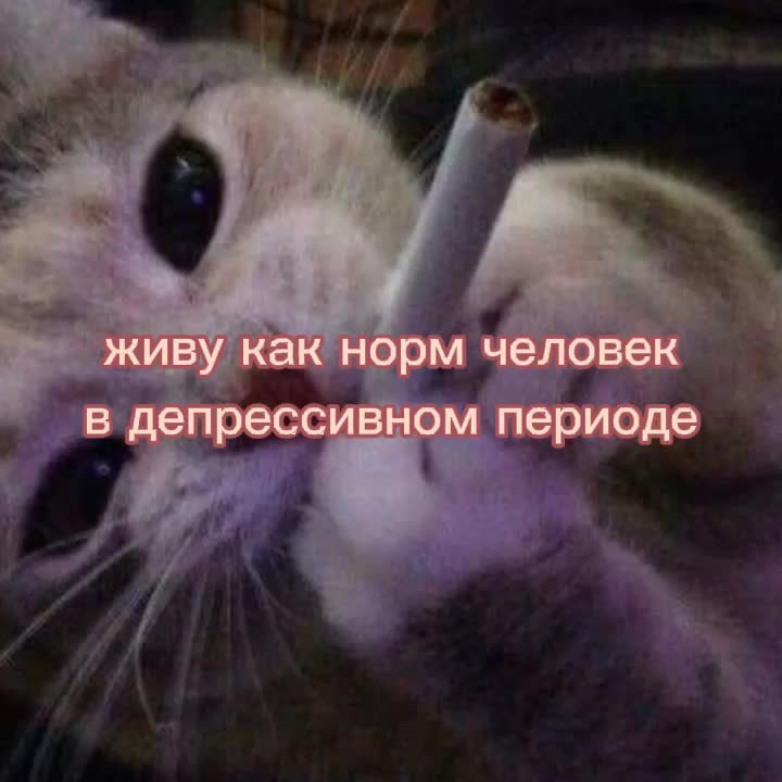 @попа