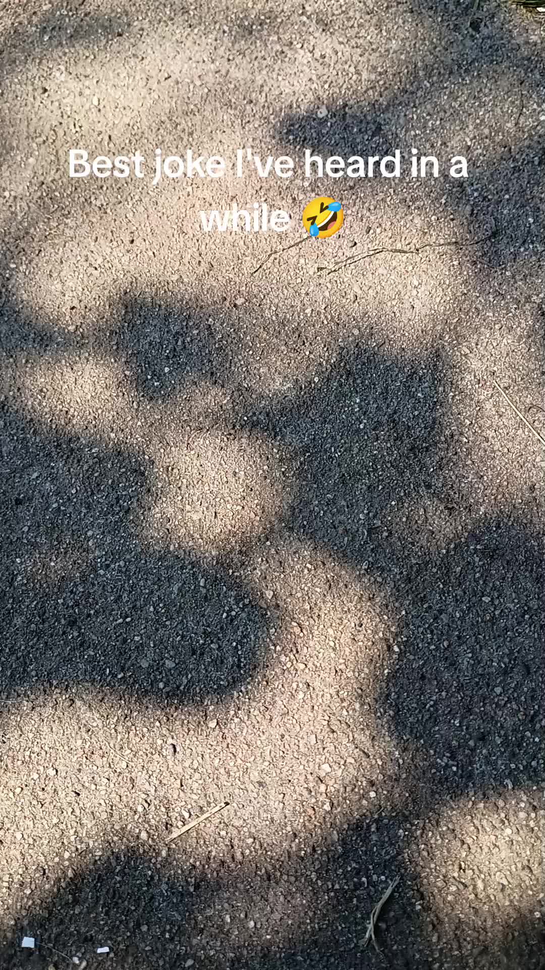 @dillpickle