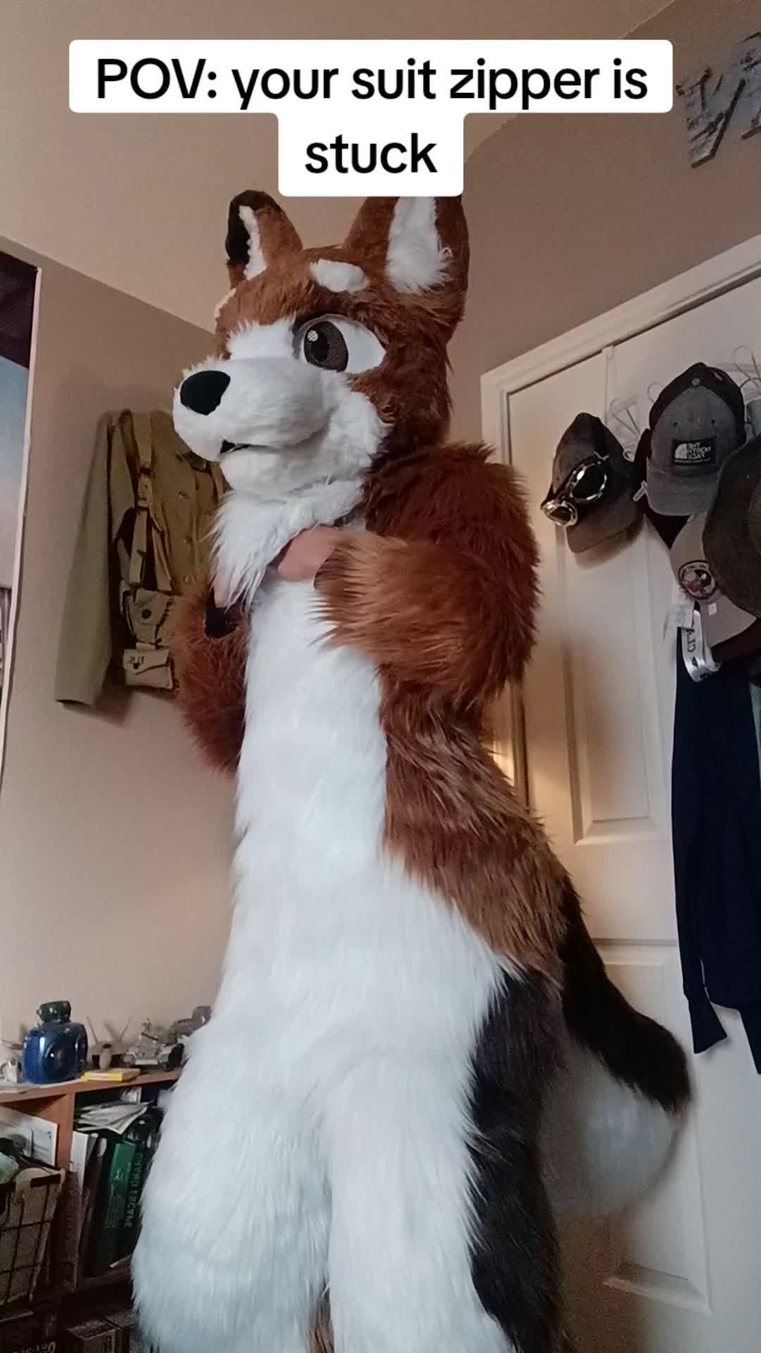 @Charliewolf