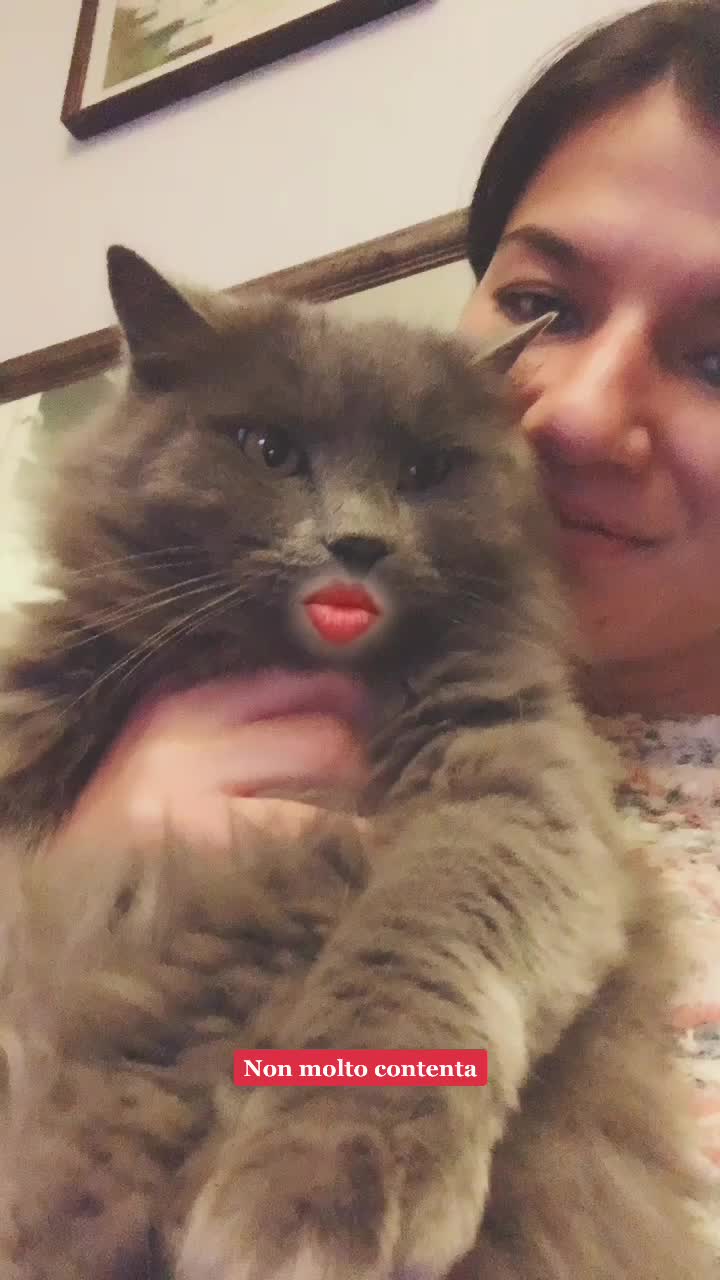 @Dhyially Stroe