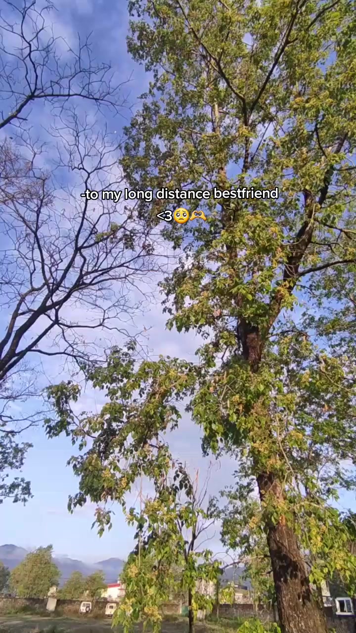 @jyoti.0119