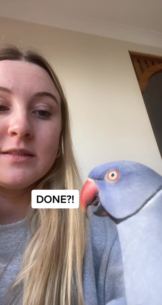 @Bridget Chant