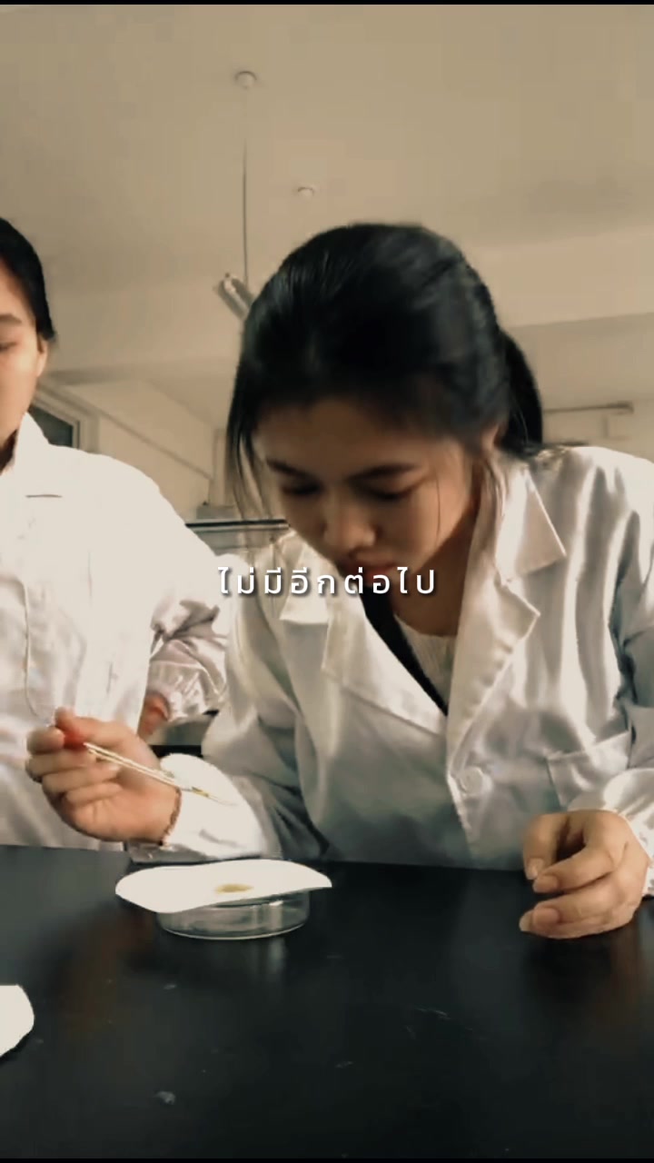 @小白
