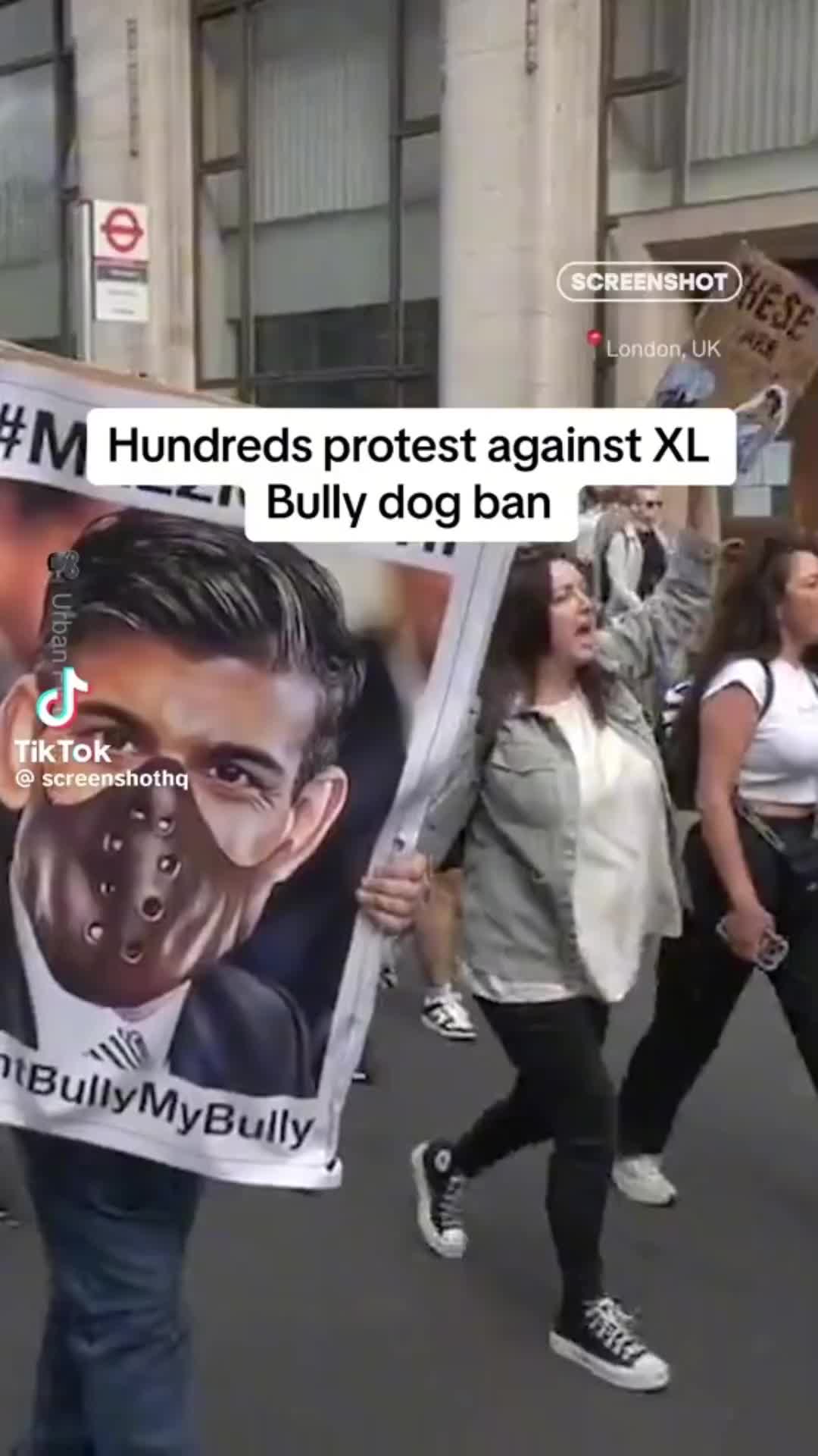 @SAVE THE XL BULLYS