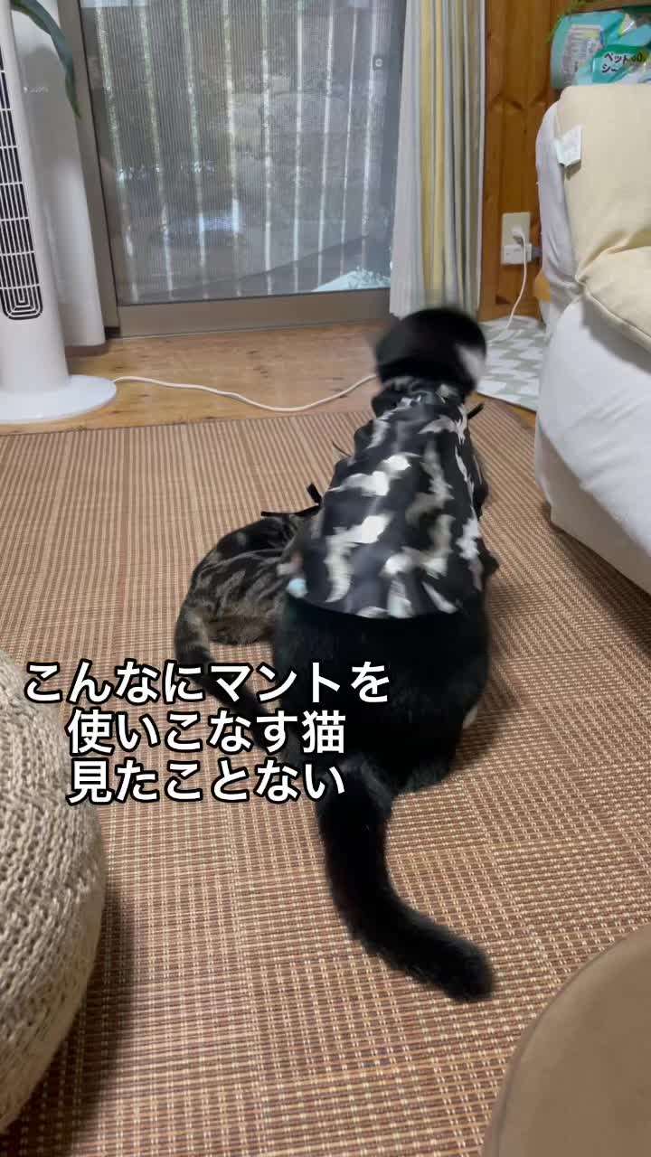 @バギー