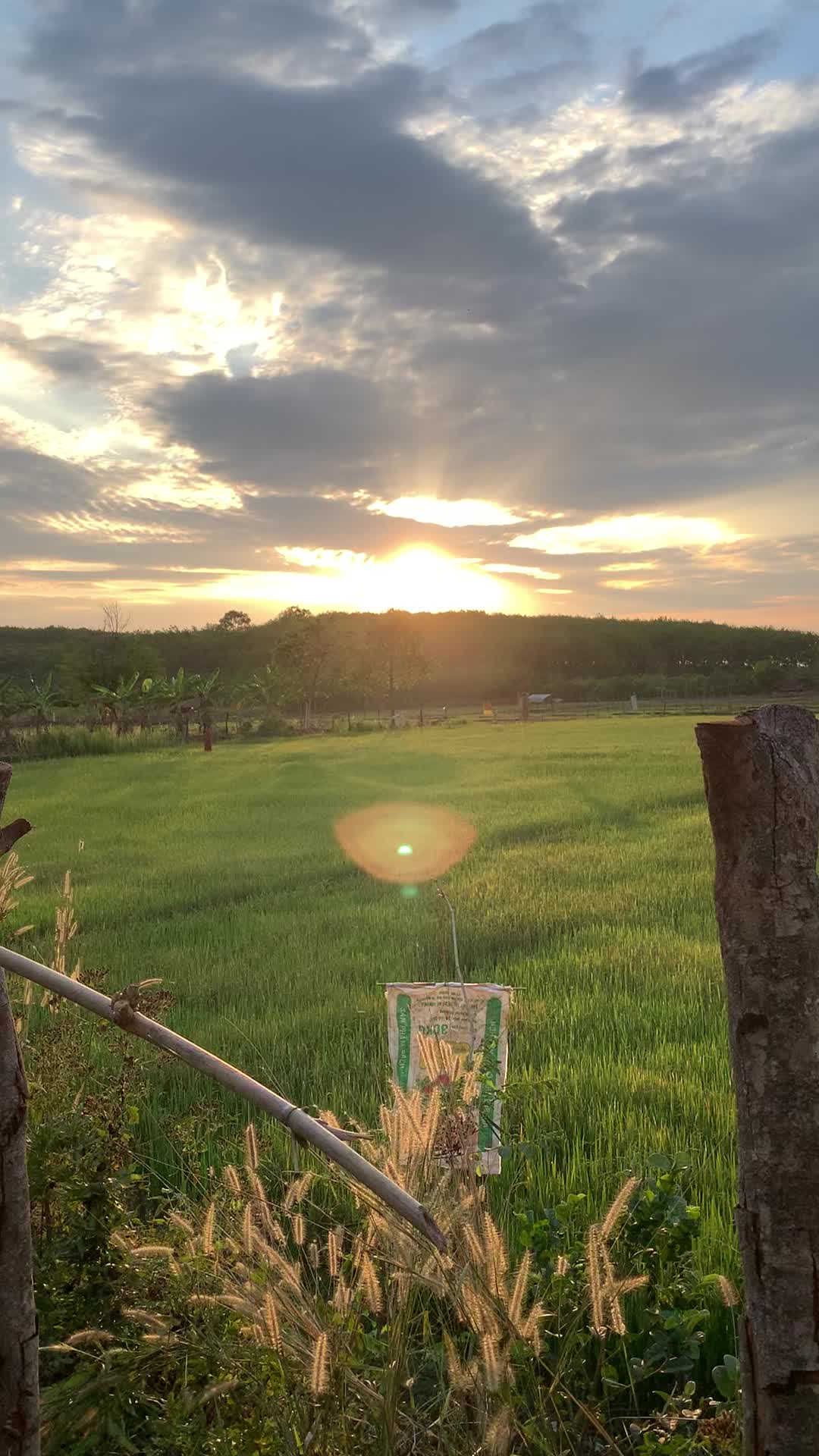 @Bảo bảo