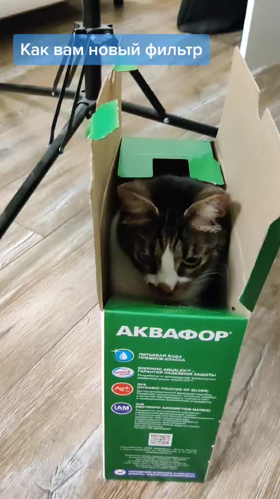 @Miki Мики