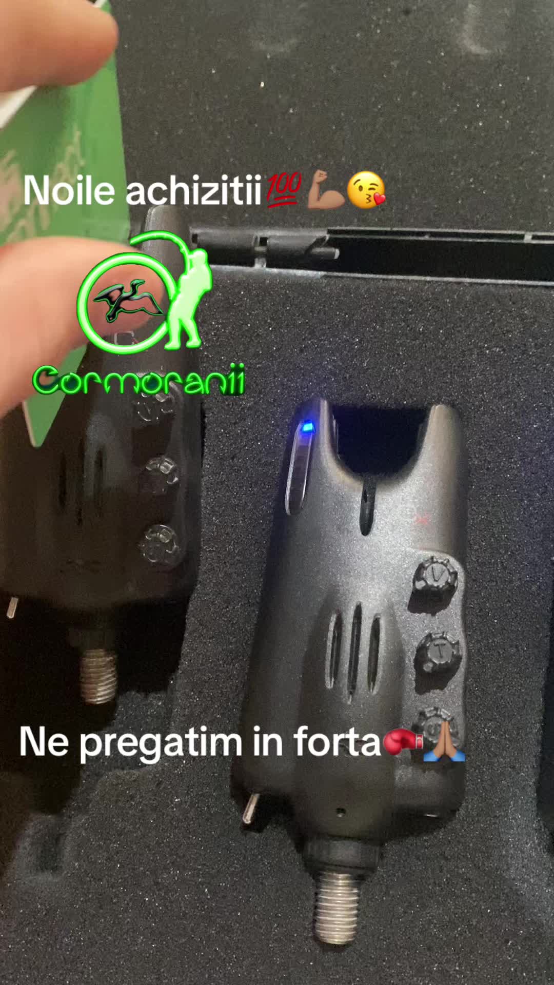 @toni_cormoranii