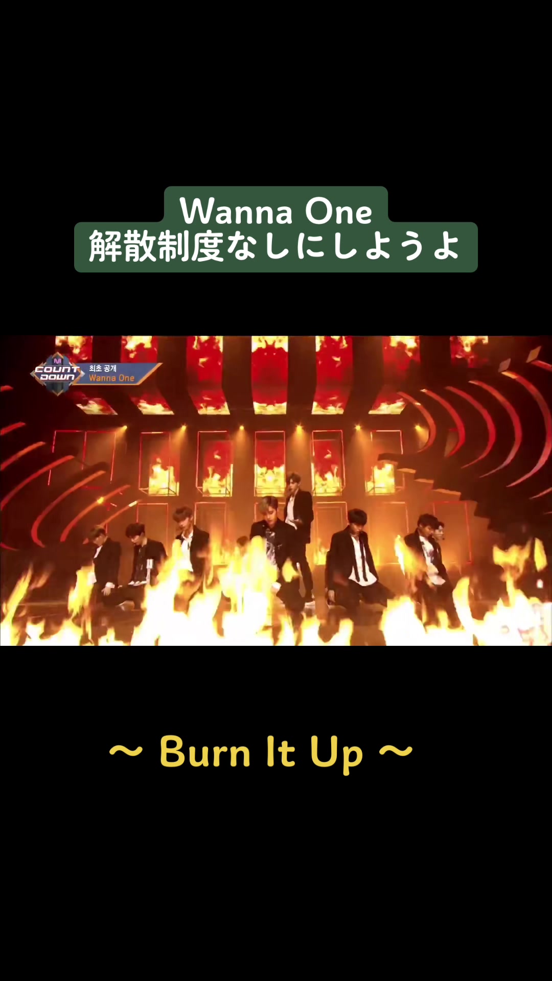 @- ̗̀ チゲ先輩 ̖́-
