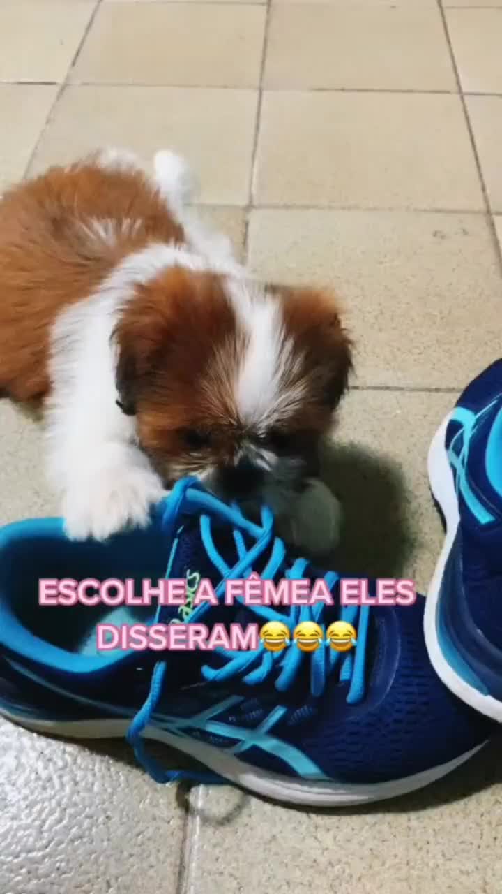@fyygg12