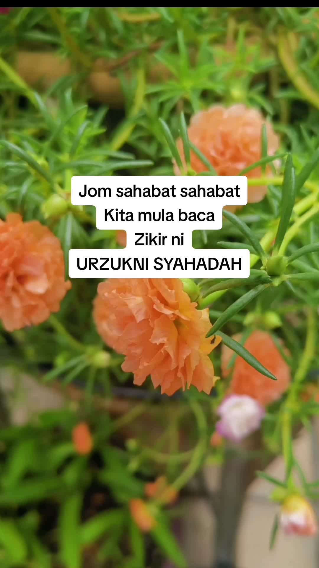 @Noor azizah binti saad