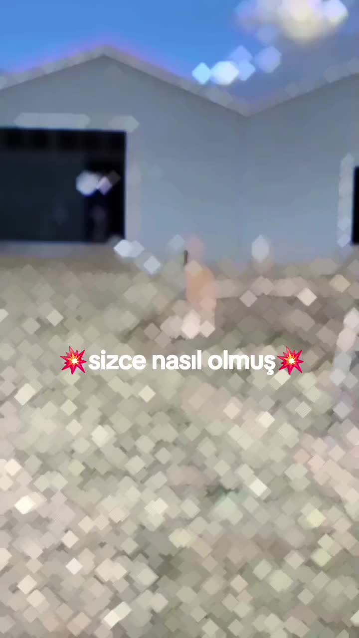 @𝚝𝚎𝚔𝚒𝚗36