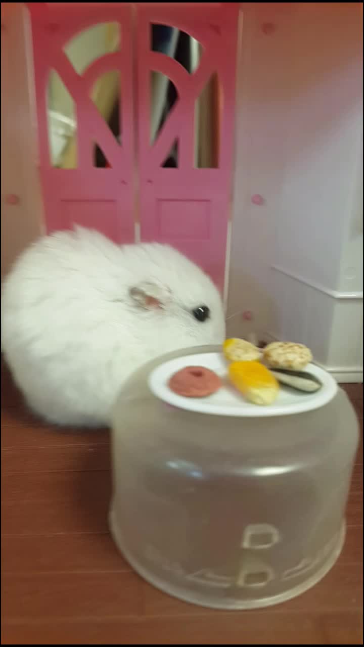 @소영이♡