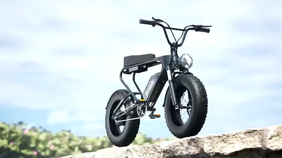 @Electric Fat Bikes