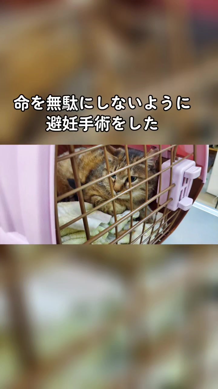 @はるかママ@すすきので生きながら日本一周目指す人