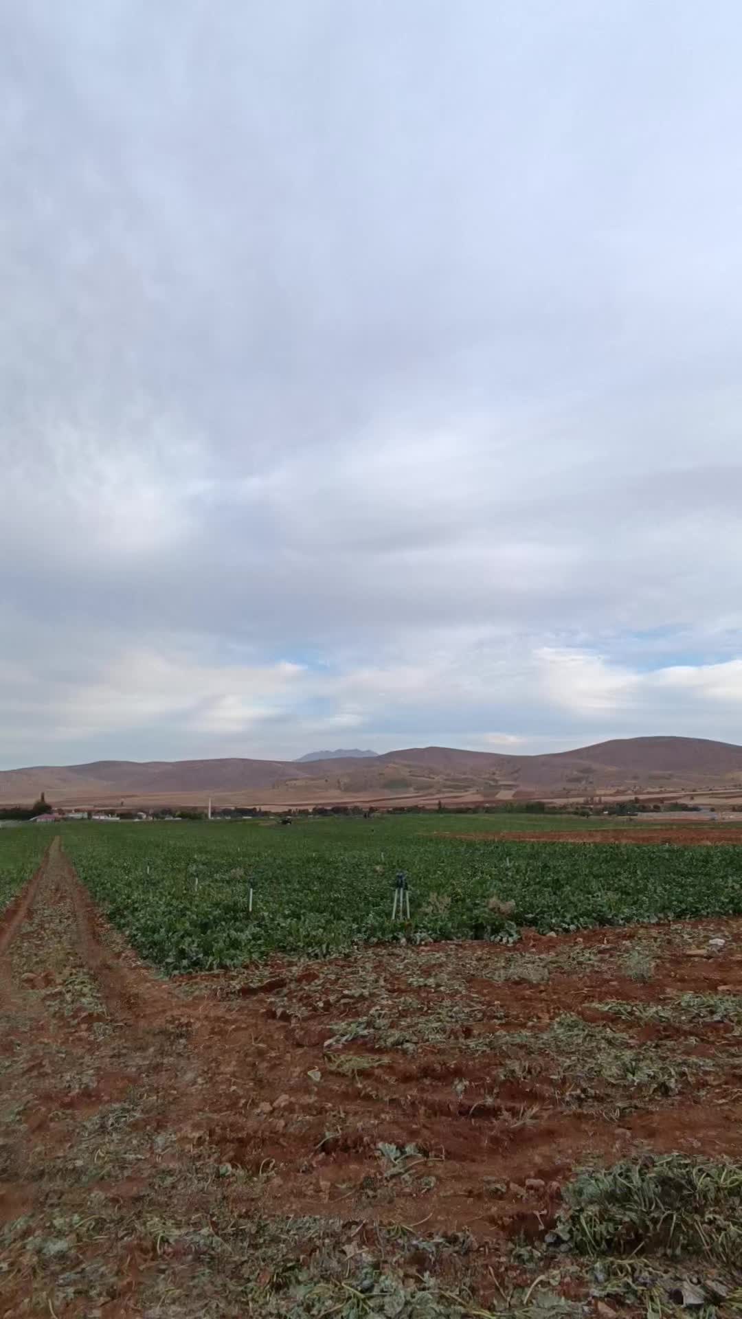 @EFE IŞIK