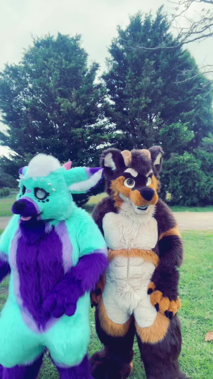 @CuteaWolf