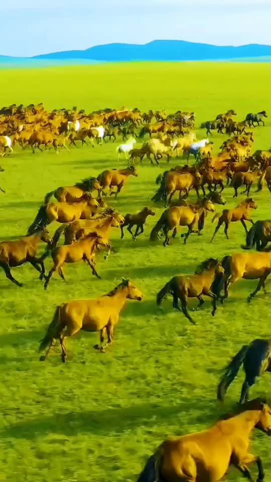 @Horse🐴🦄💕